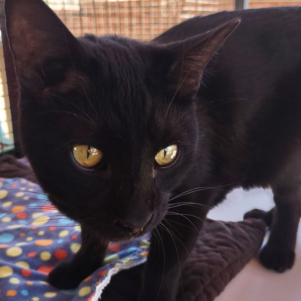 Hello my name is Andros