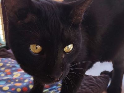 Hello my name is Andros