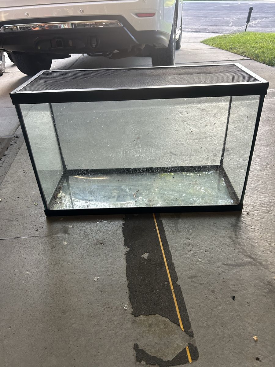 Aquarium 
