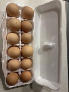 Poultry Eggs