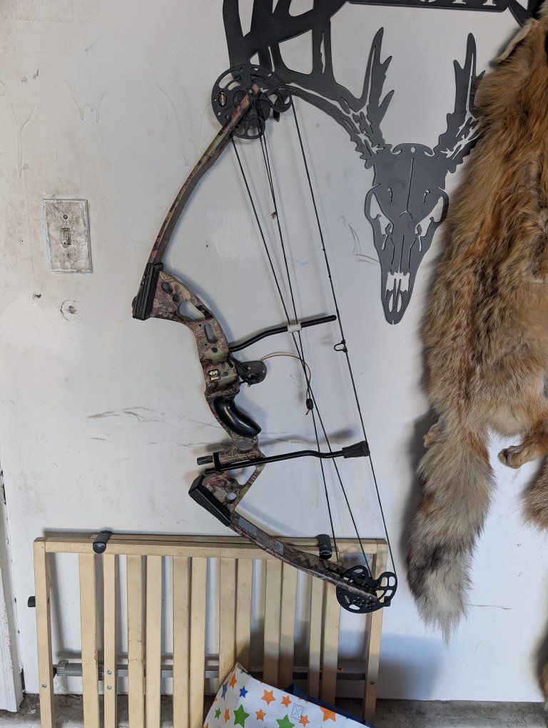 Pse Triton great starter bow