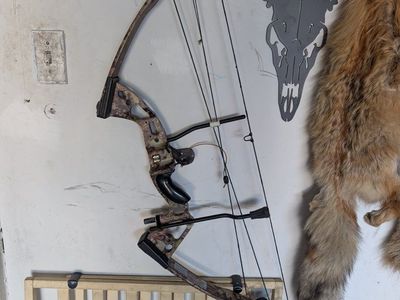 Pse Triton great starter bow