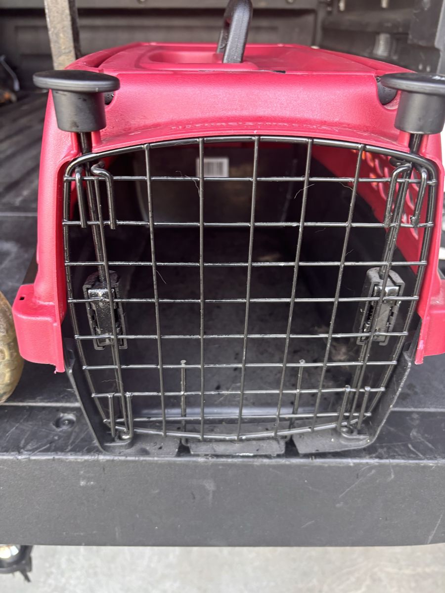 Nice Pet Carrier - great condition Portable Travel Crate with Handle