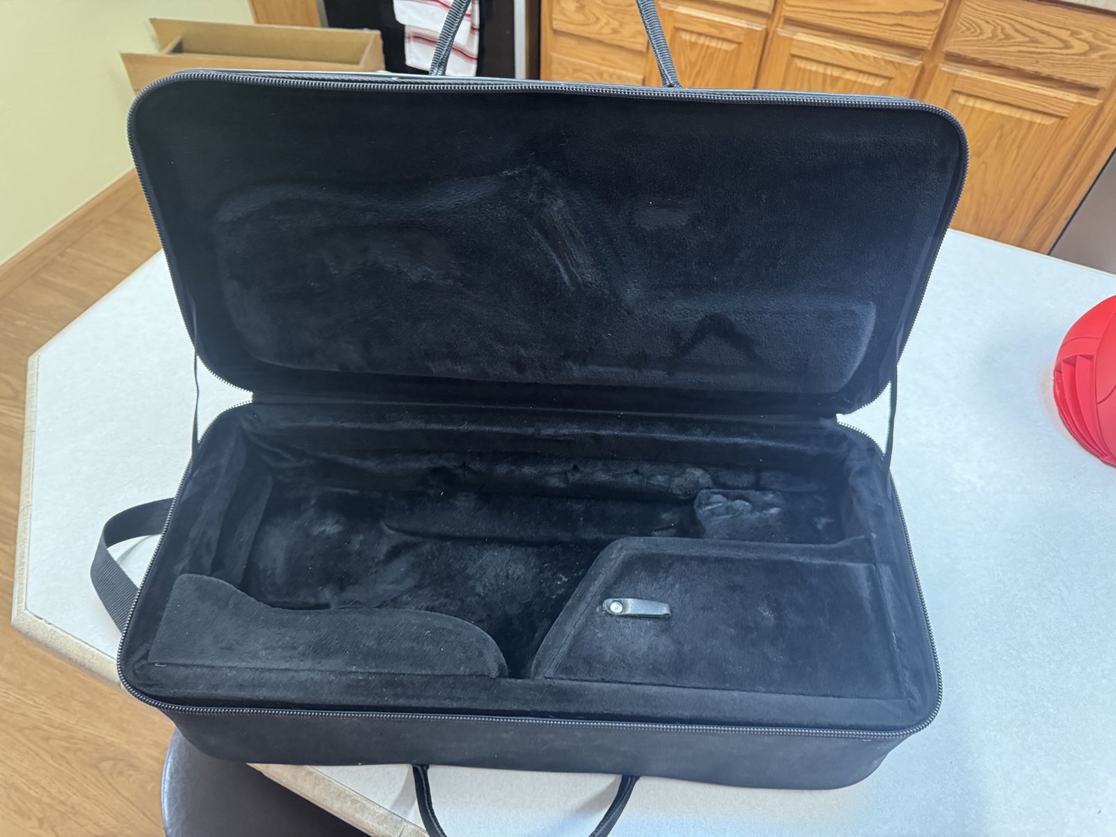 Alto saxophone case / Protec gig bag