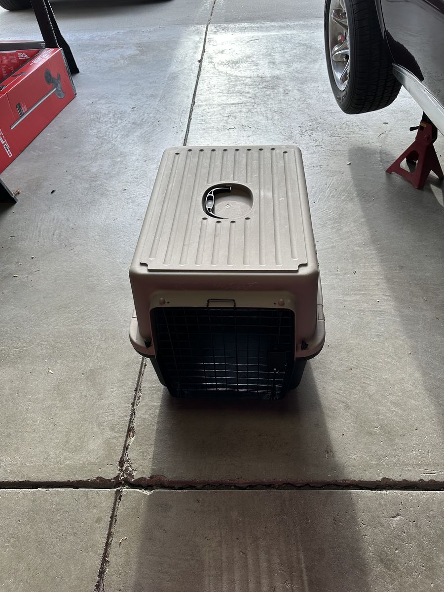 Dog Kennel