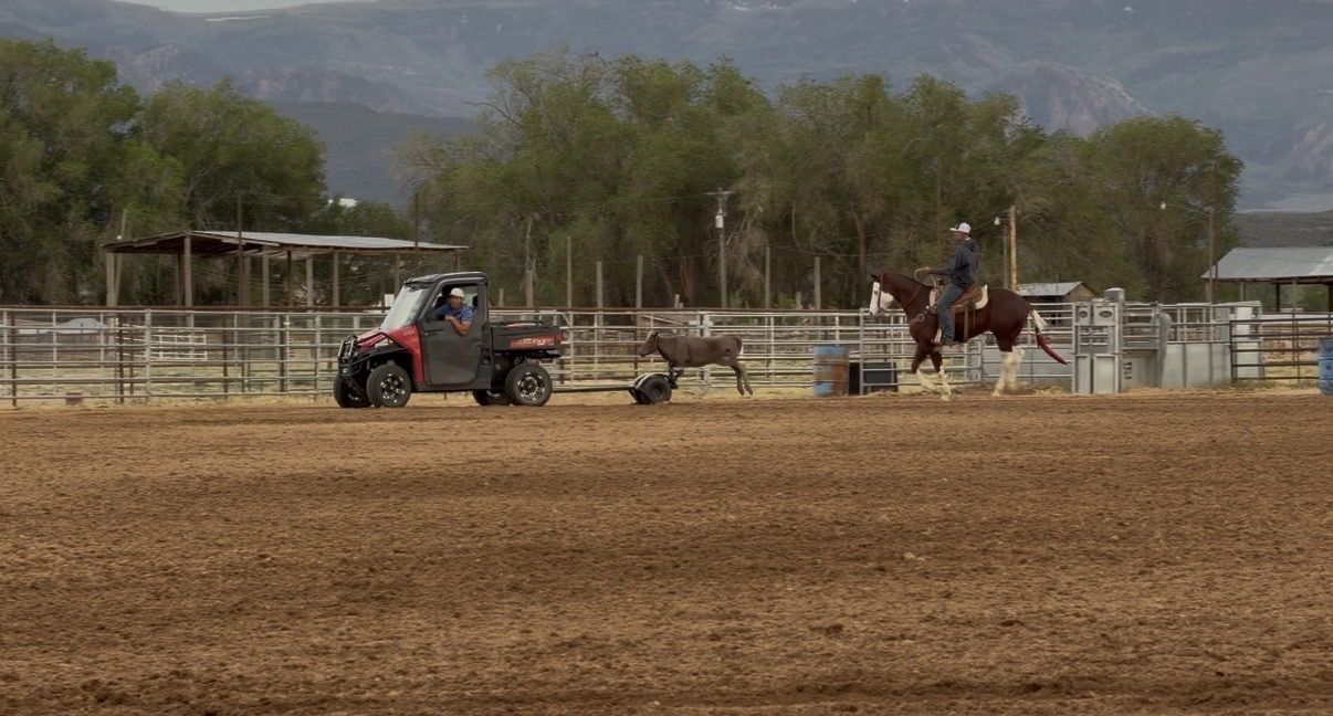 150 X 240 Team Roping Arena