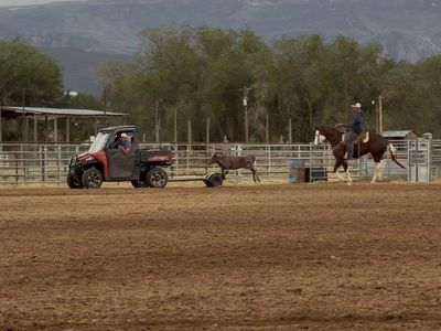 150 X 240 Team Roping Arena