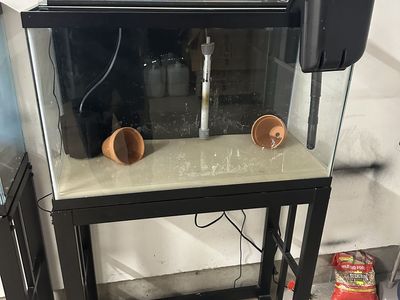 29 Fish Tank and stand