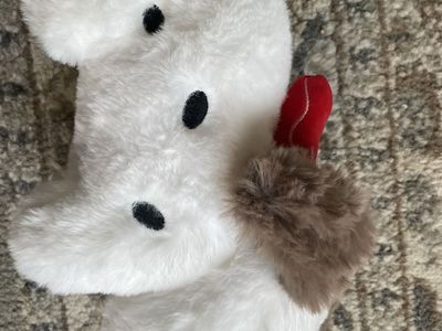 Unique rare cute Chinese dog stuffed animal Cogimyun plush character from Sanrio
