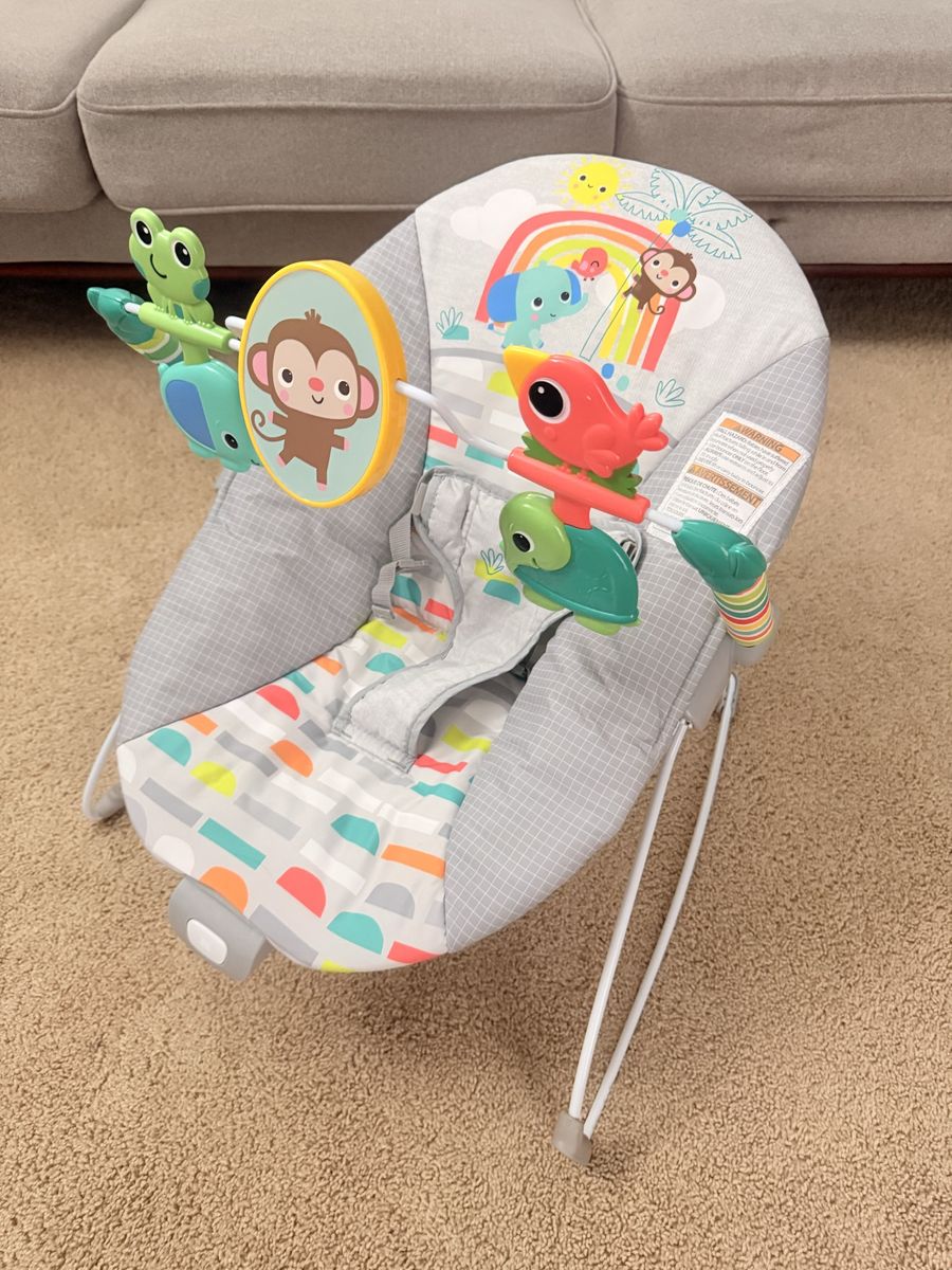 Baby Bouncer