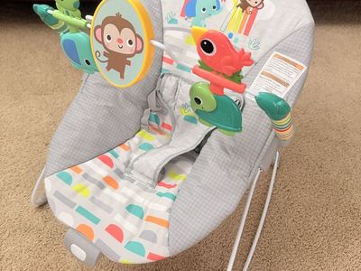 Baby Bouncer