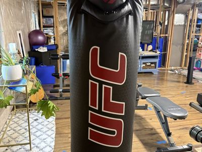 UFC 100lb punching bag