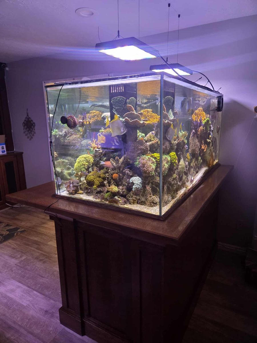 240 G Aquarium - Stand - Sump - Pump