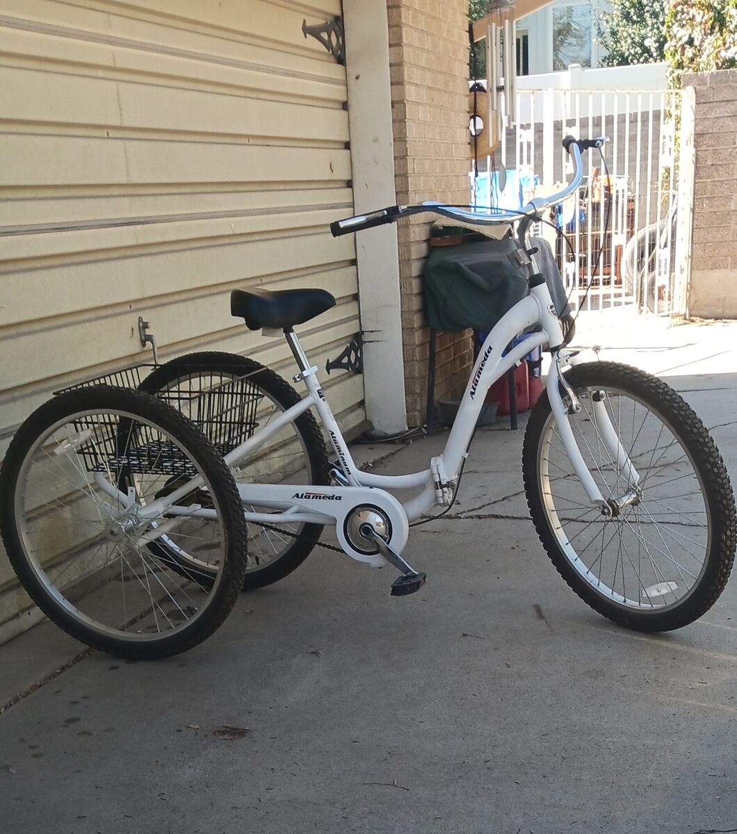26" Alameda Tricycle