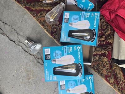 Ecosmart Classic Glass LED ST19 Light Bulbs - 40W Equivalent, Daylight, Dimmable (2-Packs)