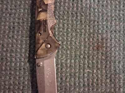 Buck Bantam series folding pocket knife,