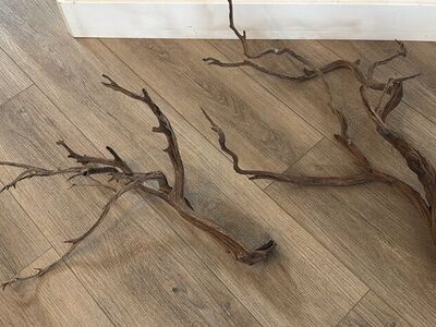 Driftwood
