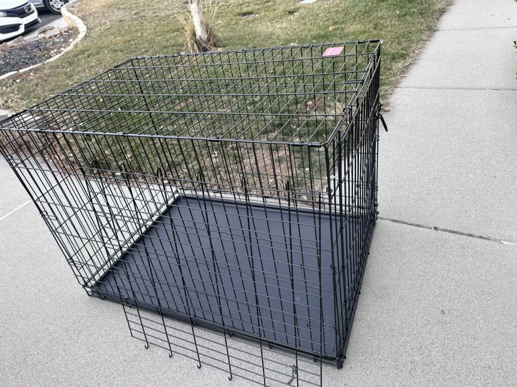 Dog Kennel
