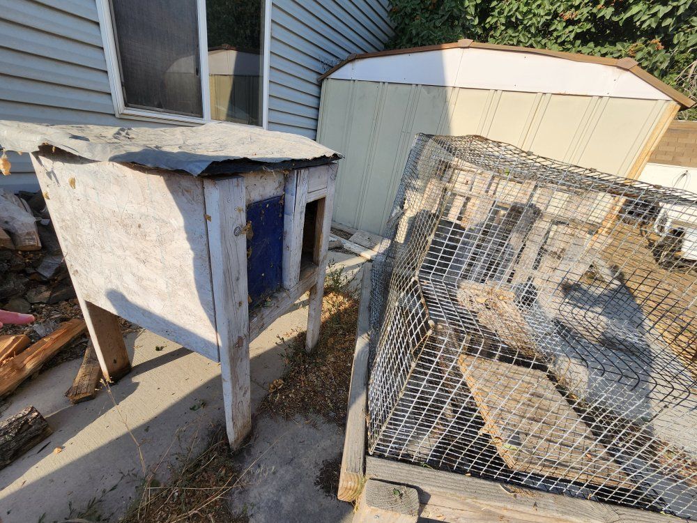 Rabbit Hutch and Run - Used Outdoor Pet Enclosure with Wooden Base and Wire Cage