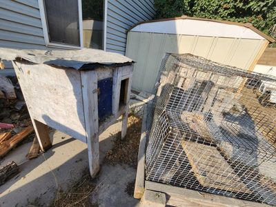 Rabbit Hutch and Run - Used Outdoor Pet Enclosure with Wooden Base and Wire Cage