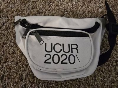 White Adjustable Waist Bag with Multiple Zippered Pockets