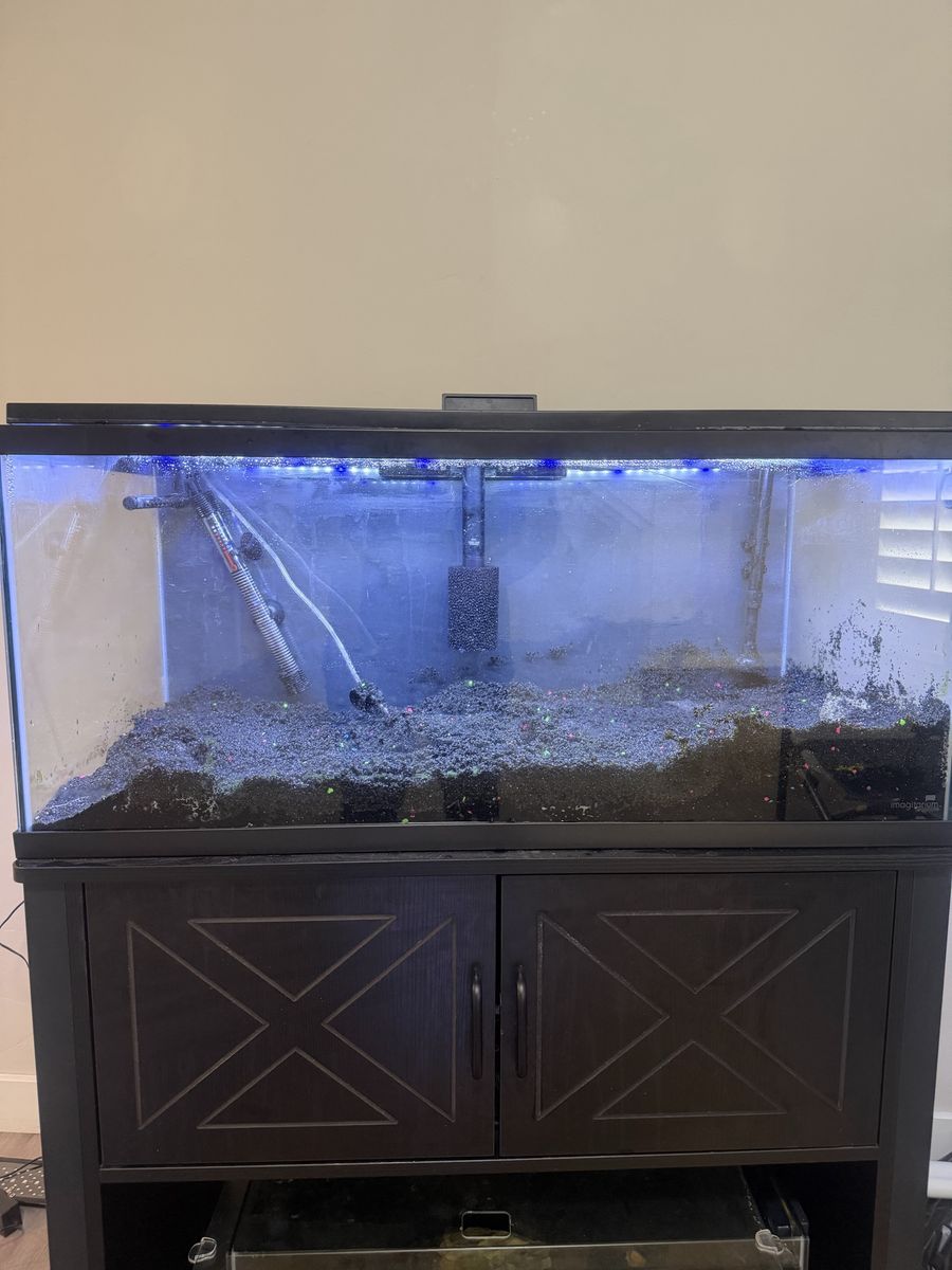 40 Gallon Tank With Stand