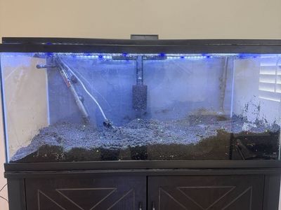 40 Gallon Tank With Stand