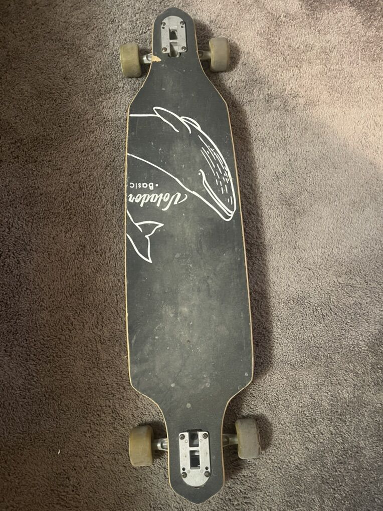 Long Board Skate Board