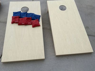 Like New Cornhole Set Bisrds And Bags