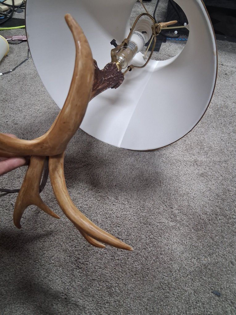 Main image 3
