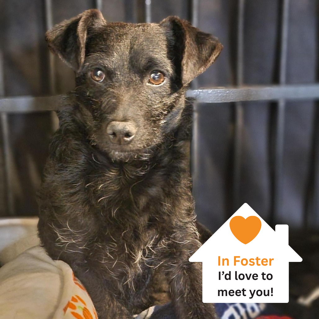 Hello my name is Turner