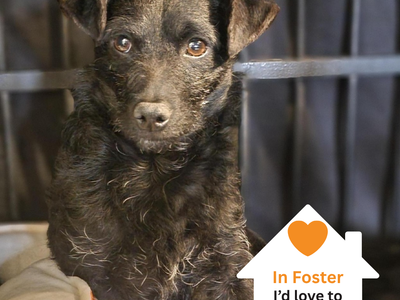 Hello my name is Turner