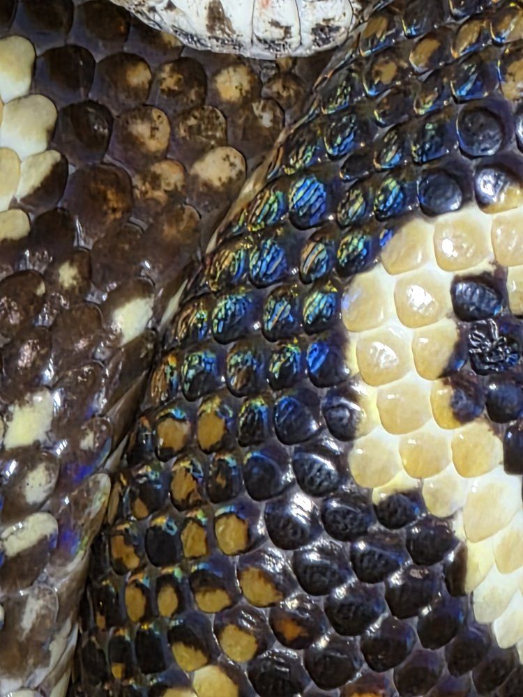 Main image 2