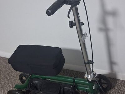 Scooter for therapy and healing
