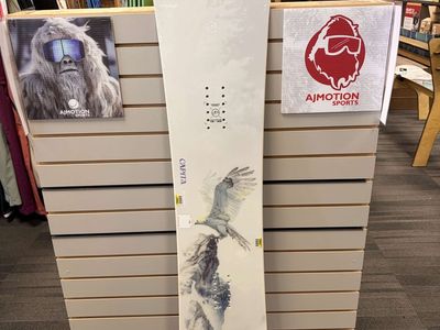 Capita Birds Of A Feather 144cm - Lightly Used 2026