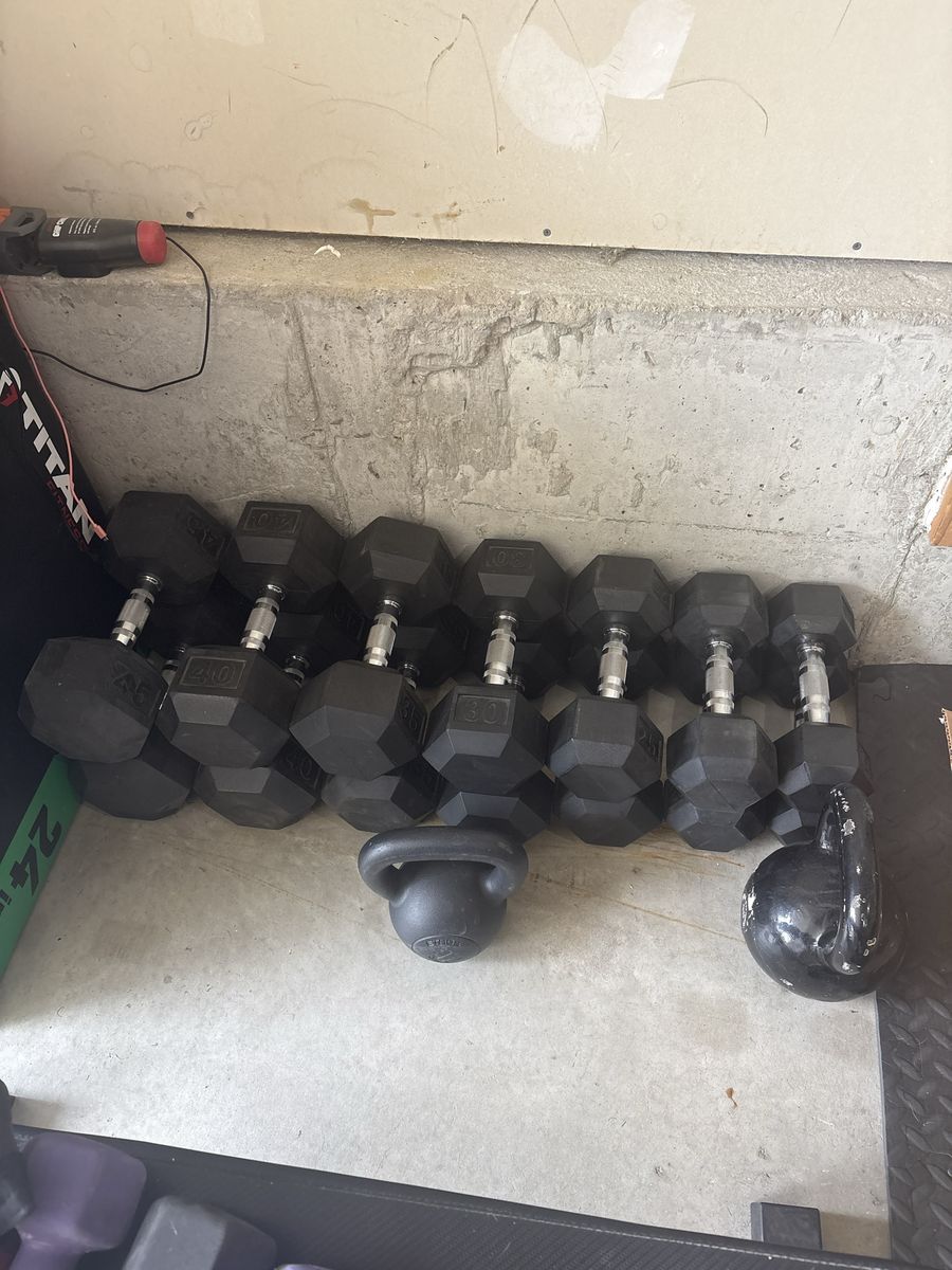 Complete Home Gym Package – Xebex Rower, 300lb Dumbbells, Bumper Plates, Rack & More