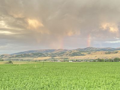 Straight Alfalfa, Alfalfa/Grass mix, OAT Hay