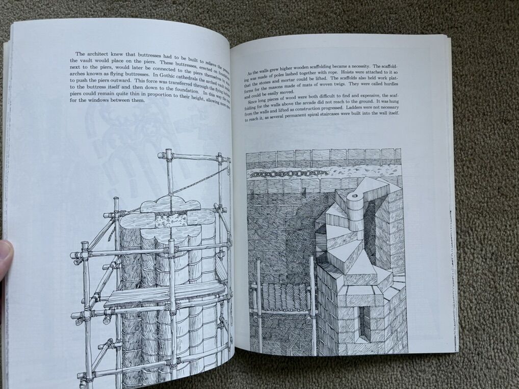 Main image 6