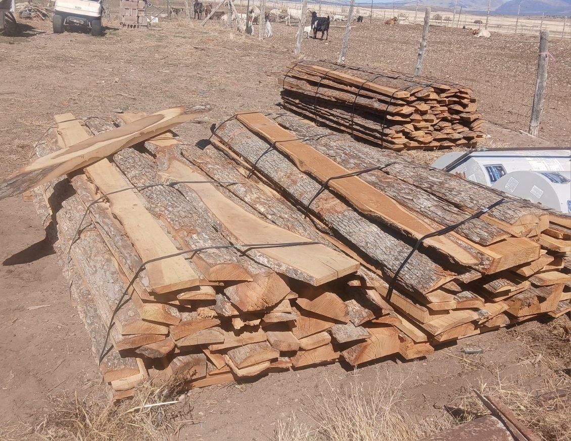 White oak slab pieces with bark