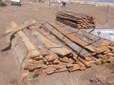 White oak slab pieces with bark