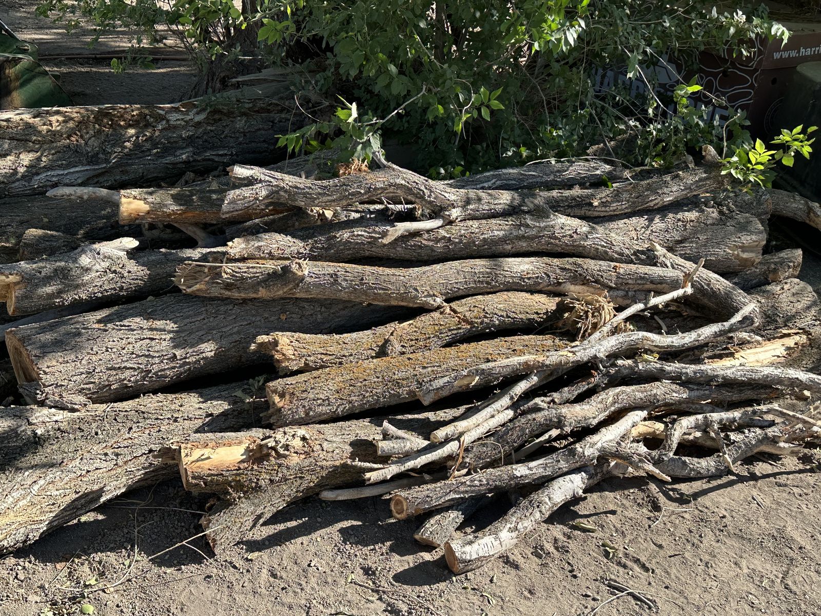 Firewood