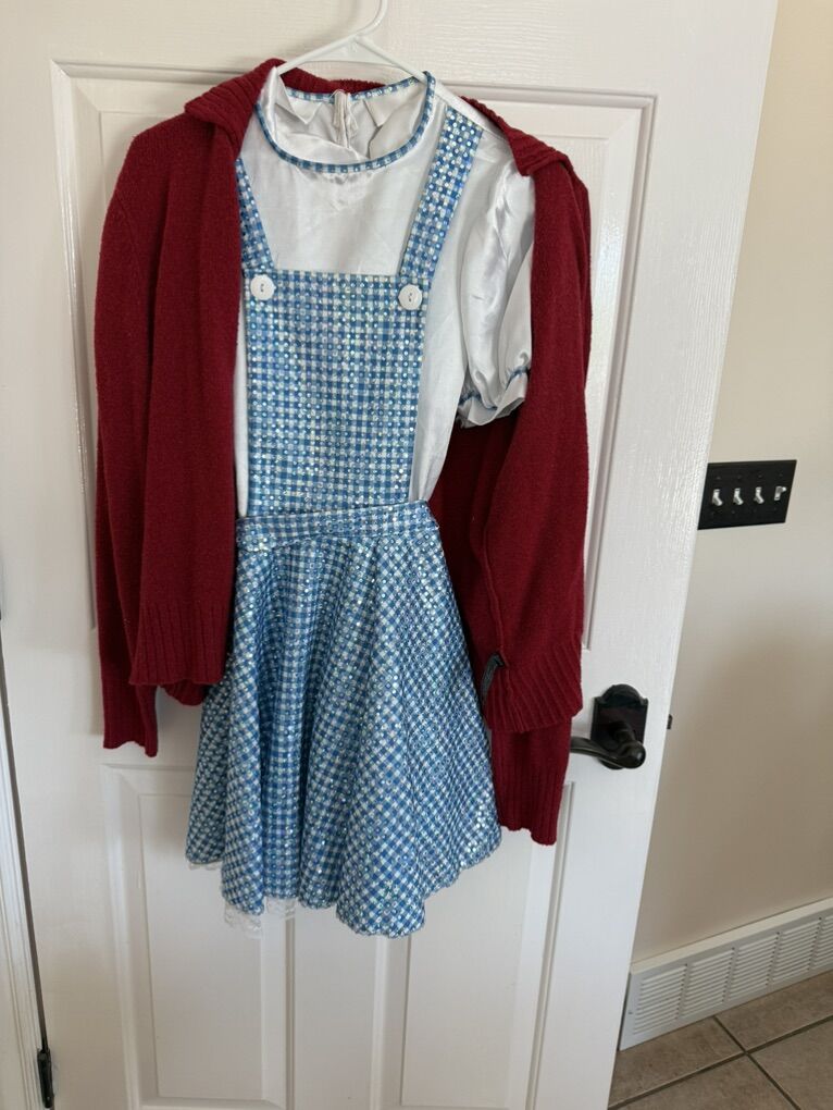Adult Wizard Of Oz Dorothy Dress L