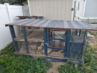 quail and/or quail hutch