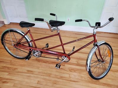 Schwinn Twinn