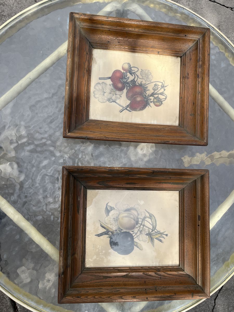 Unique Worm-Wood frames