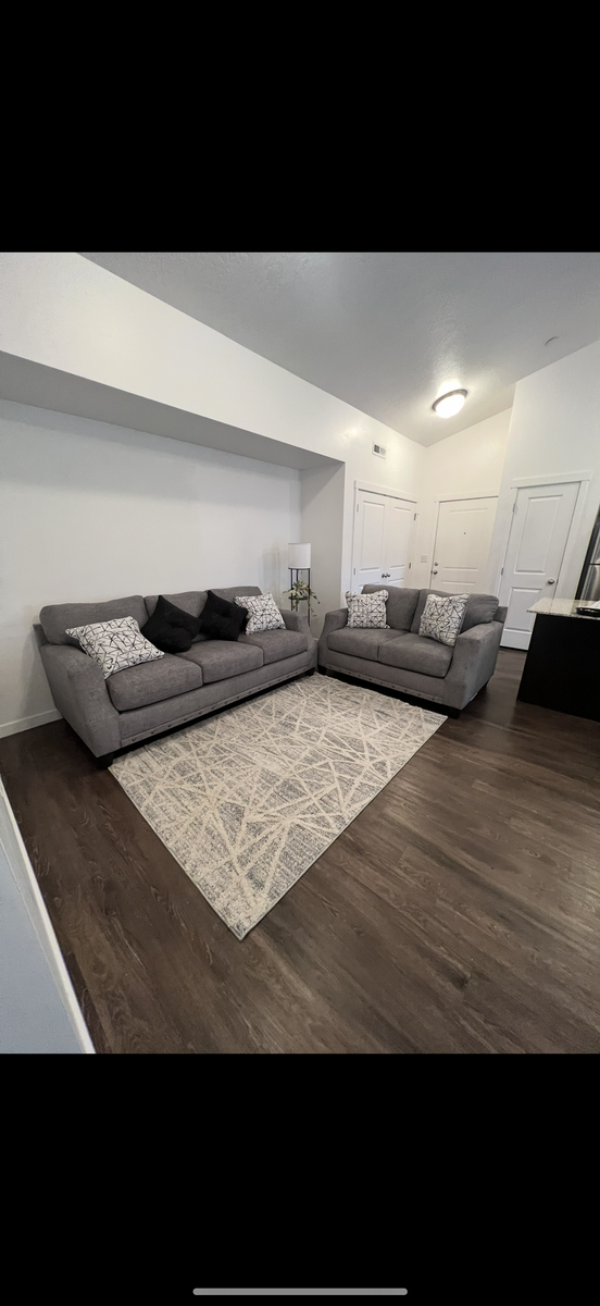 Modern gray couches