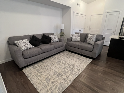 Modern gray couches