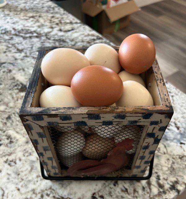 Farm fresh eggs for sale