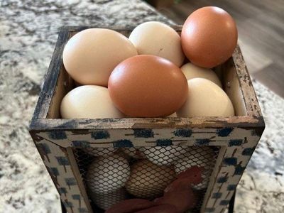 Farm fresh eggs for sale