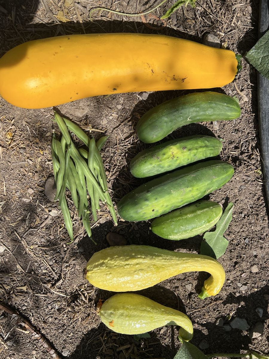 Extra vegetables